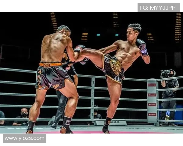 苏波邦与金童的巅峰对决谁能笑到最后揭开拳坛新篇章