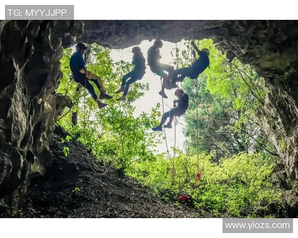 科学极限运动的实力训练方法与技巧全面解析MBA